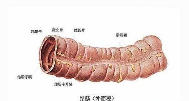 患上结肠炎会有哪些症状